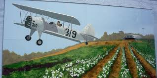 terrell Mural Project biplane